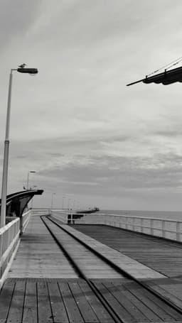 Swaniawski - Mann logo